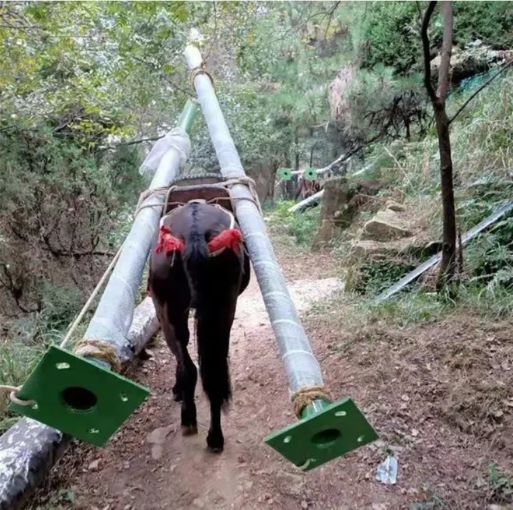长治骡马运输队