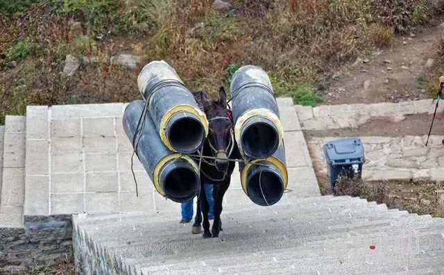 长治马帮运输